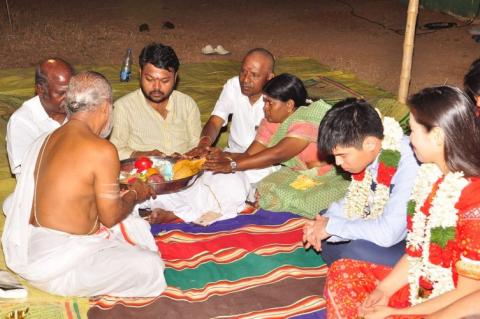 Remedies / Pariharas Carried for our Clients